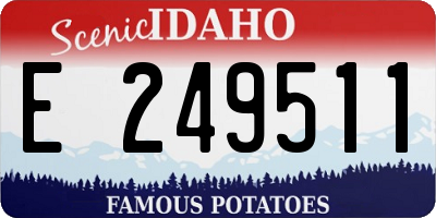 ID license plate E249511