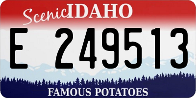 ID license plate E249513