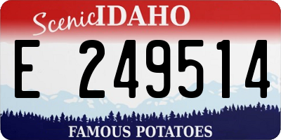 ID license plate E249514