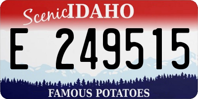 ID license plate E249515