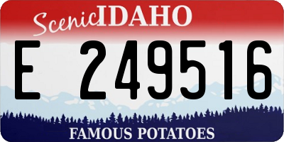 ID license plate E249516