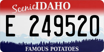 ID license plate E249520