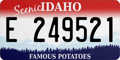 ID license plate E249521