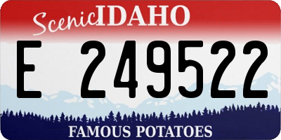 ID license plate E249522