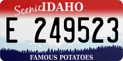 ID license plate E249523