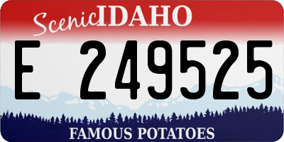 ID license plate E249525
