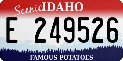 ID license plate E249526