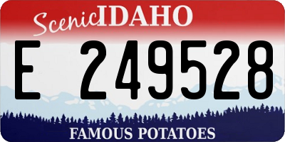 ID license plate E249528