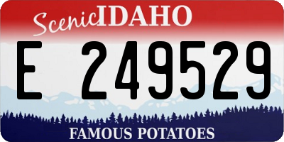 ID license plate E249529