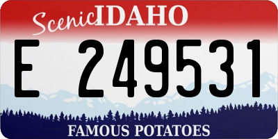 ID license plate E249531