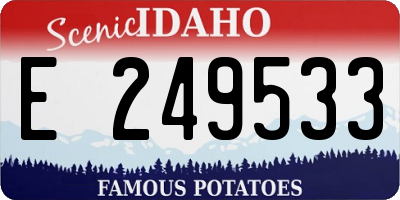 ID license plate E249533