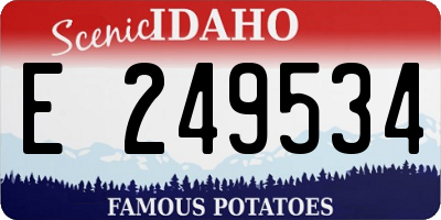 ID license plate E249534