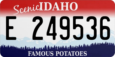 ID license plate E249536