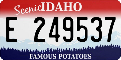ID license plate E249537