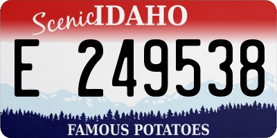 ID license plate E249538