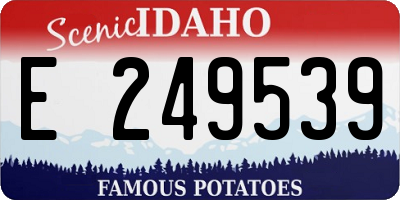 ID license plate E249539