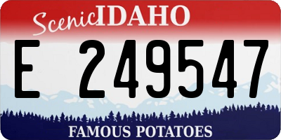 ID license plate E249547