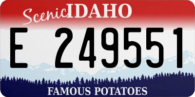 ID license plate E249551