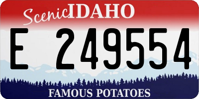ID license plate E249554