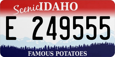 ID license plate E249555