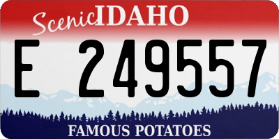 ID license plate E249557