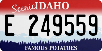 ID license plate E249559