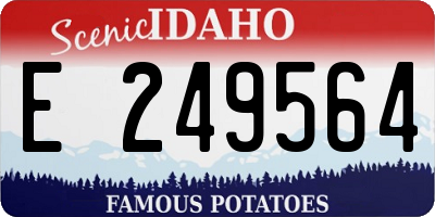 ID license plate E249564