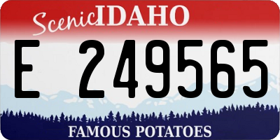 ID license plate E249565