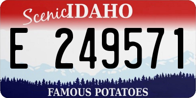 ID license plate E249571