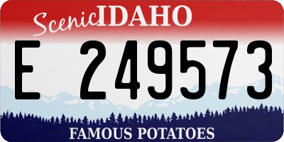ID license plate E249573