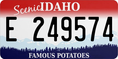 ID license plate E249574