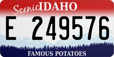 ID license plate E249576