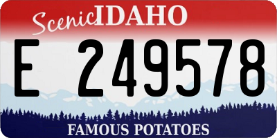 ID license plate E249578