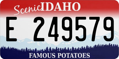 ID license plate E249579