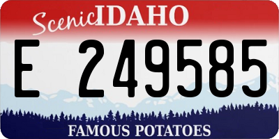 ID license plate E249585