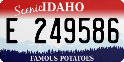 ID license plate E249586