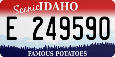 ID license plate E249590