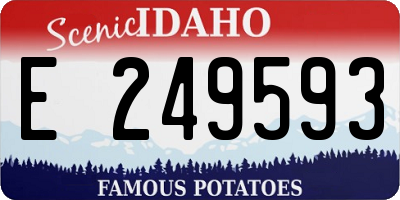 ID license plate E249593