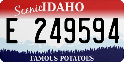 ID license plate E249594