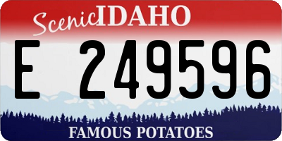 ID license plate E249596