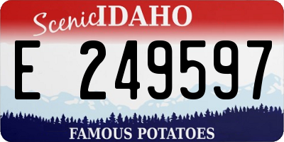 ID license plate E249597