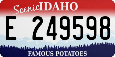 ID license plate E249598