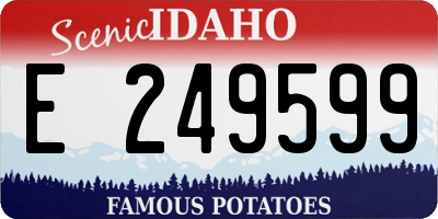 ID license plate E249599