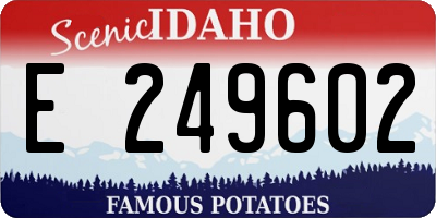 ID license plate E249602