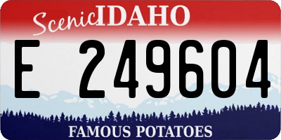 ID license plate E249604