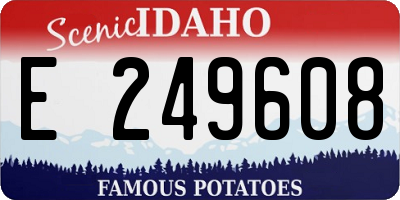 ID license plate E249608