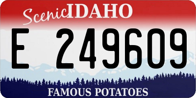 ID license plate E249609
