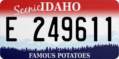 ID license plate E249611