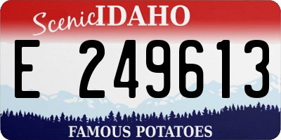 ID license plate E249613