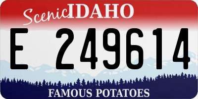 ID license plate E249614